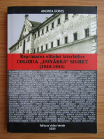 Andrea Dobes - Reprimarea elitelor interbelice Colonia Dunarea Sighet, 1950-1955