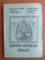 C. Th. Niculescu - Anatomia organelor toracale