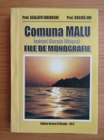 Ion Rugina - Comuna Malu