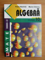 Petre Nachila - Algebra pentru clasa a X-a