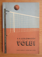V. A. Golomazov - Volei