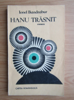 Anticariat: Ionel Bandrabur - Hanu Trasnit