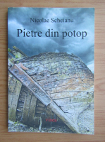 Anticariat: Nicolae Scheianu - Pietre din potop