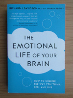 Richard J. Davidson - The emotional life of your brain
