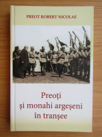 Robert Nicolae - Preoti si monahi argeseni in transee