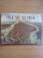 Vincent Virga - Historic maps and views of New York