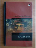 Hermann Hesse - Lupul de stepa (cartonata, ed. Rao)