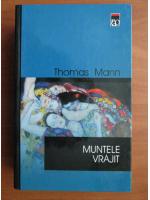 Thomas Mann - Muntele vrajit