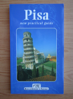 Claudio Pescio - Pisa, new practical guide