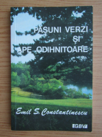 Emil Constantinescu - Pasuni verzi si ape odihnitoare