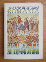 Tara Sfanta Ortodoxa Romania. Sfantul acatist al Dumnezeirii