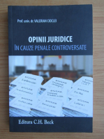 Valerian Cioclei - Opinii juridice in cauze penale controversate