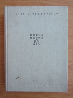 Virgil Teodorescu - Scriu negru pe alb
