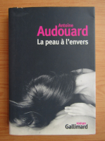 Antoine Audouard - La peau a l'envers