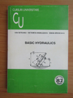 Ion Seteanu - Basic hydraulics