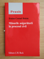 Traian Cornel Briciu - Masurile asiguratorii in procesul civil