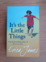 Erica James - It's the little things