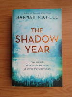 Hannah Richell - The shadow year