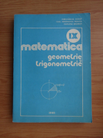 Matematica. Geometrie si trigonometrie. Solutii in rezolvarea problemelor si exercitiilor din manual, clasa a IX-a