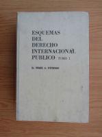 Miguel A. DEstefano - Esquemas del derecho internacional publico (volumul 1)