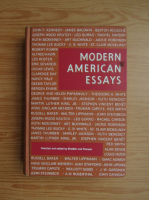 Anticariat: Sylvia Z. Brodkin - Modern American Essays