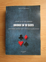 Virgil Florin Ramureanu - Bridge in 10 sizes