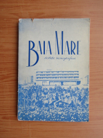 Baia Mare. Schita monografica