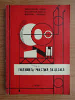 Instruirea practica in scoala