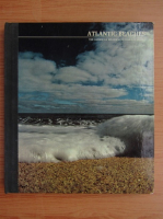 Jonathan Norton Leonard - Atlantic beaches