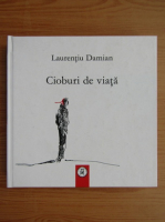 Laurentiu Damian - Cioburi de viata
