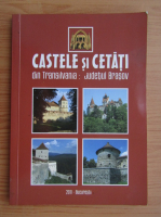 Liviu Stoica - Castele si cetati din Transilvania