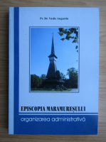 Vasile Augustin - Episcopia Maramuresului