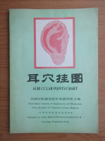 Auricular points chart