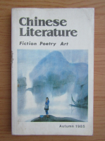 Chinese literature. Fiction poetry art