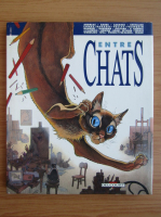 Entre chats