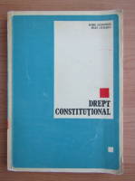 Ichil Benditer - Drept constitutional