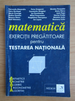 Petronela Alexandru - Matematica. Exercitii pregatitoare pentru testarea nationala