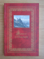 History of Schonburg Castle