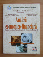 Marin Tole - Analiza economico-financiara