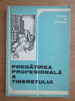 Revista de pedagogie. Pregatirea profesionala a tineretului