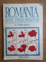 Viorel Roman - Romania spre piata comuna