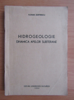 Florian Zamfirescu - Hidrogeologie. Dinamica apelor subterane