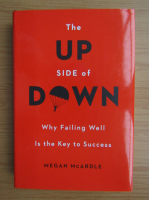 Megan McArdle - The up side of down