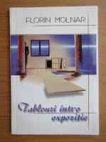 Florin Molnar - Tablouri intr-o expozitie