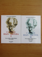 Ioan Mitrofan - Caietele Ioan Miclea (2 volume)