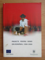 Proiecte pentru romii din Romania, 1990-2000