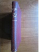 Alexandre Dumas Fiul - Dama cu camelii