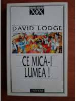 Anticariat: David Lodge - Ce mica-i lumea!