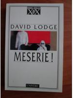 Anticariat: David Lodge - Meserie!