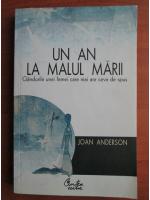 Anticariat: Joan Anderson - Un an la malul marii. Gandurile unei femei care mai are ceva de spus